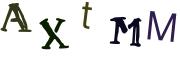 Obrázkové CAPTCHA