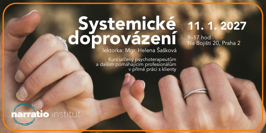 Systemické doprovázení
